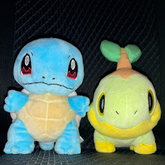 カメポケチャンネル