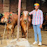 ulS8c-hV1mc-channel-avatar-Tejas dairy farm