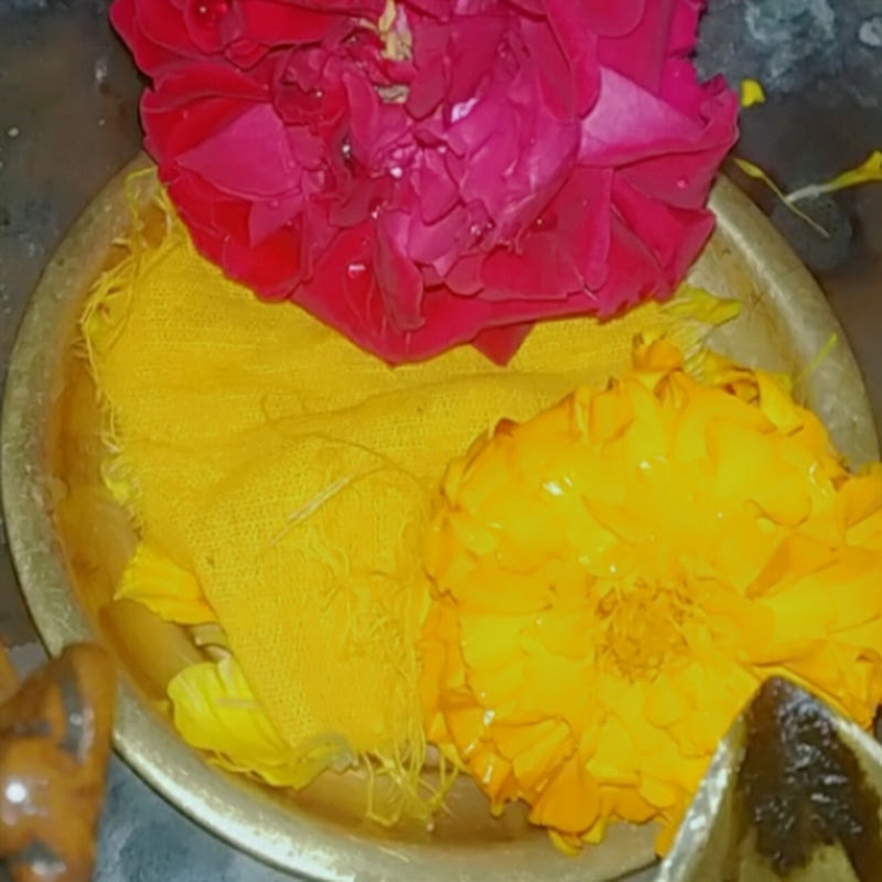 Apna Channel