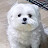 @콩이대장