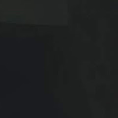 Alibi Archive 