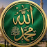 mhIWukSLvG0-channel-avatar-Quran & Sunnah