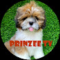Prinzee TV logo