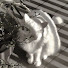 -33KHgqiwjc-channel-avatar-悠悠樂