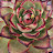 @leeproflower