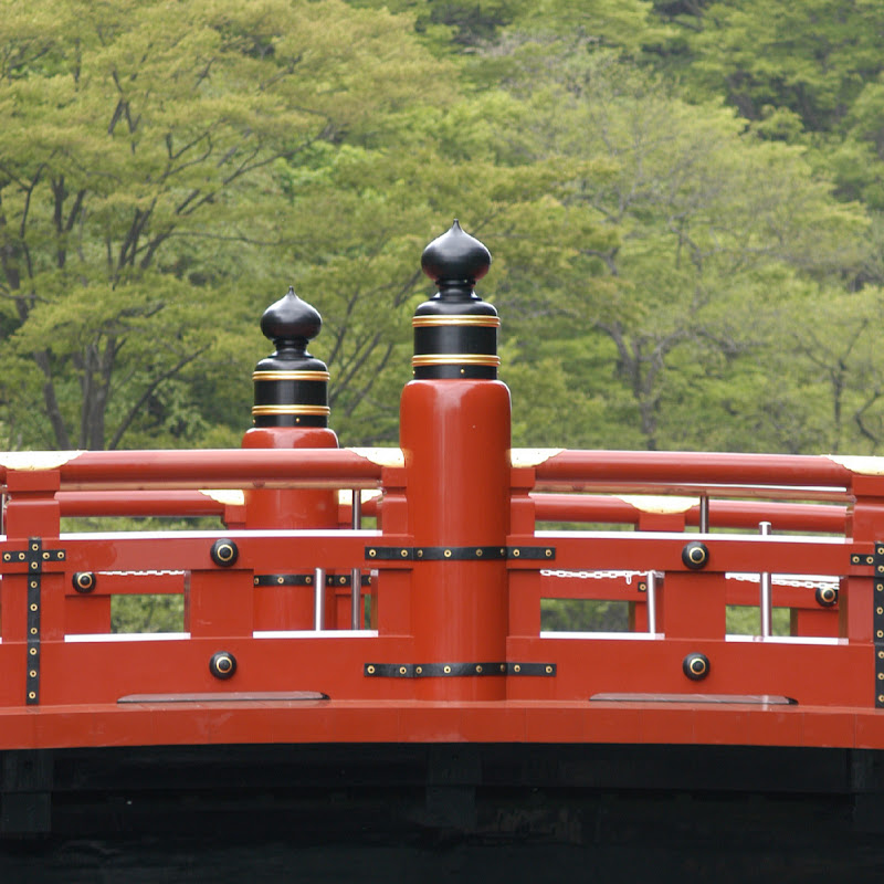 日光二荒山神社 ライブカメラ logo