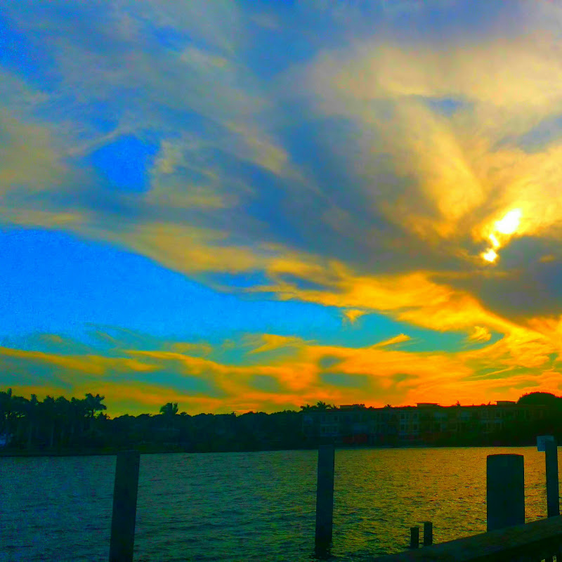 Karen Branch Florida & USA