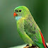 sxeFdMDMhy8-channel-avatar-Birds and Baby