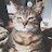 @dazz2649's avatar