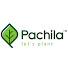 HryATNFa5jA-channel-avatar-Pachila