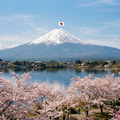 日本で見つけた感動