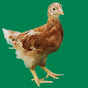Desi Hens Farm Bahria Town Lahore logo