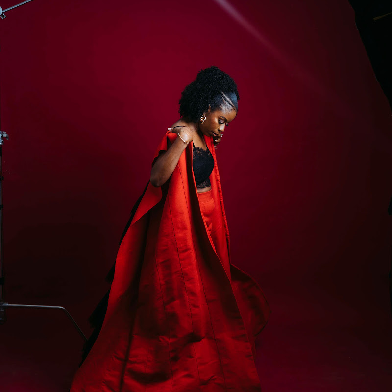 The Joyful Adenike Logo