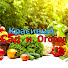 VzuaMno6kRw-channel-avatar-КРАСИВЫЙ САД и ОГОРОД