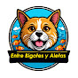Entre Bigotes y Aletas logo