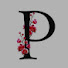 HGPvN1wfroo-channel-avatar-Prince Media Channel PMC প্রিন্স মিডিয়া চ্যানেল