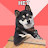 @AndyVegasX's avatar