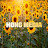 @HONGMEDIA-fh5gq