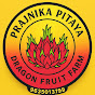 Prajnika Pitaya Dragon Fruit Farm logo