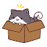SsenjS6YbwM-channel-avatar-にゃんこ雑学