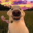 pm4Yp3jdOAY-channel-avatar-Daily Chuckles