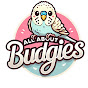 AllAboutBudgies logo