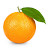 Orange Peel🍊