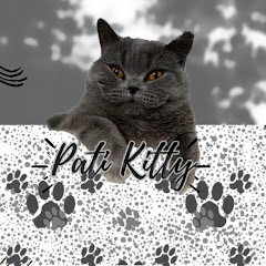 Логотип каналу Pati Kitty.520