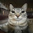 @Meowcat-w2d