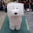 @Tsargoldbear Avatar