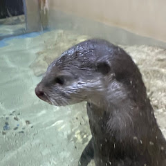 齋藤文蔵アイコン画像