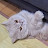 @카자뷰