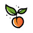 LXWQwA37zHE-channel-avatar-SweetOrchard