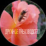 MN4PgmJHMVU-channel-avatar-Friendly beekeeper & life 