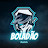 @Boladaoplayer2343