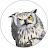 @Rude_Owl