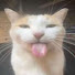 p1qklDPgh6k-channel-avatar-speedyboye