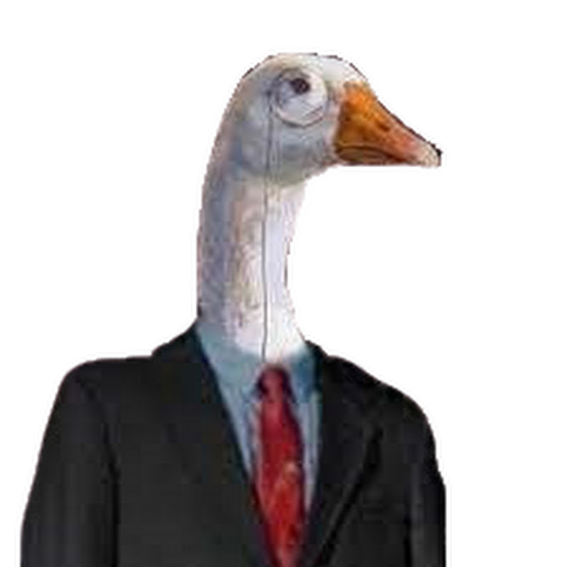 Business Goose