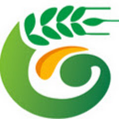 Thumbnail of related channel