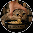 R-NC3PwscAc-channel-avatar-The_Noodle_Thief
