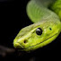 W7M3ha5X2qs-channel-avatar-BattleSnake23