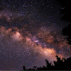 【占い】星のささやき