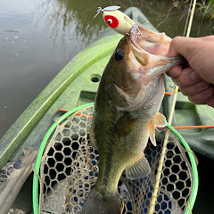 NoKoNoKo FT🎣