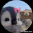 @اكرمبنسحاق-ي4ط