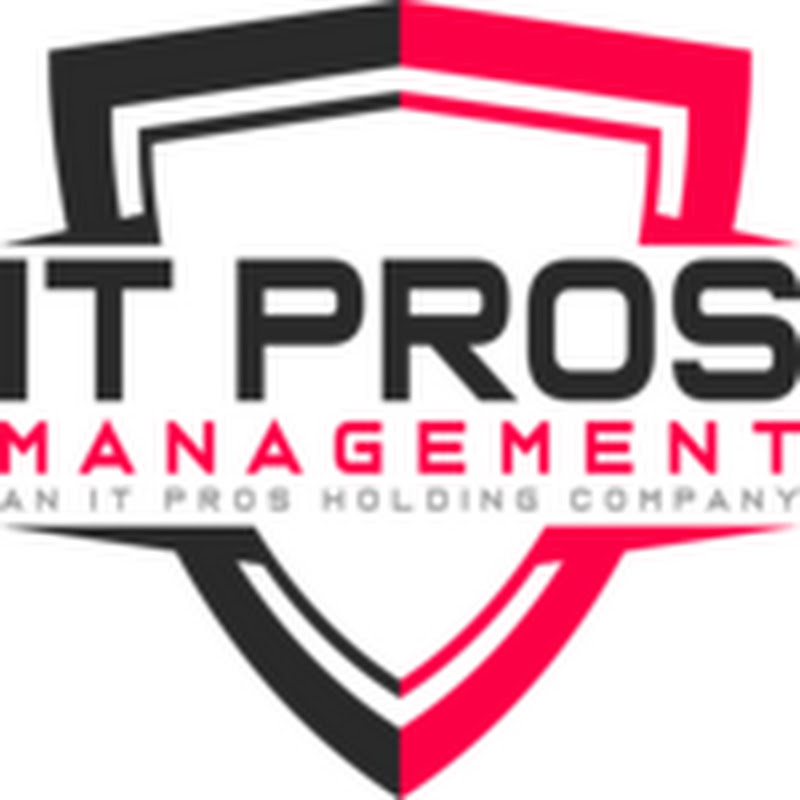 IT Pros Management