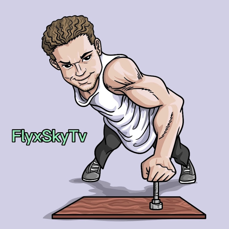 flyskytvtiktok