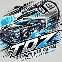 TDZ MOBİL OTO YIKAMA 