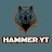 @HammerYt-2010