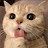 @뿌리의성장일기