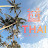 Thai_Season_365